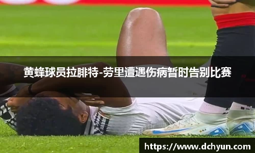 冰球突破豪华版手机版