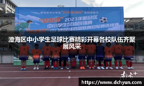 冰球突破最新网站入口