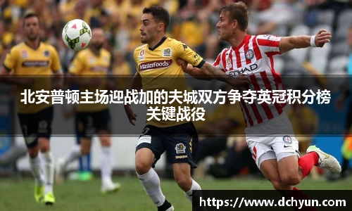 突破冰球豪华版电子游戏