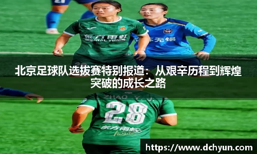 突破冰球豪华版电子游戏