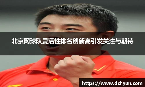 冰球突破豪华版手机版